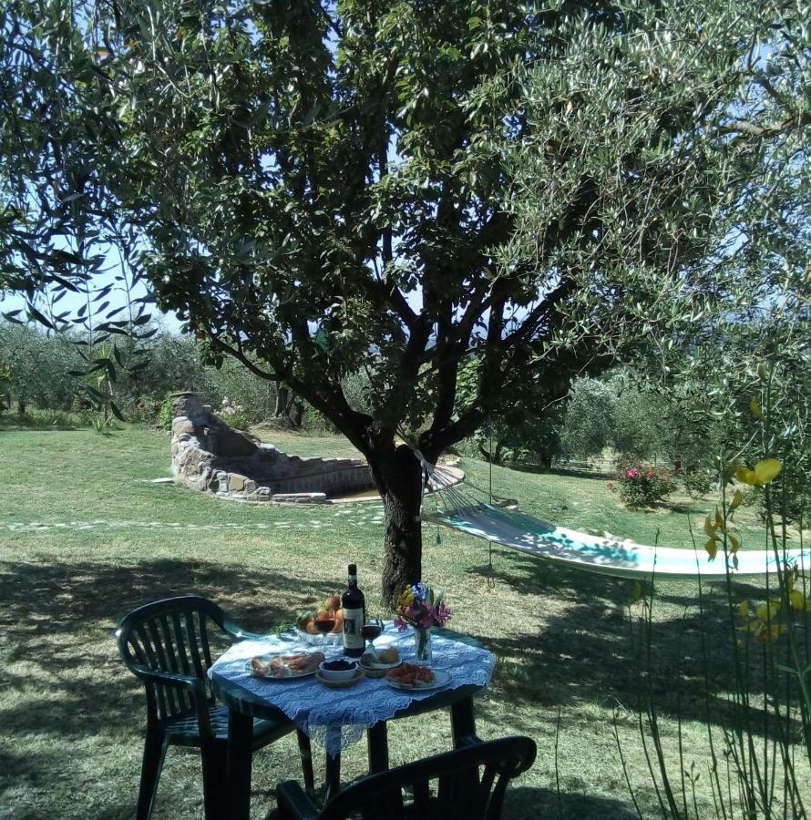 Nido Di Rondine Apartment Montespertoli Exterior photo